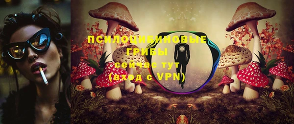 марки nbome Белокуриха