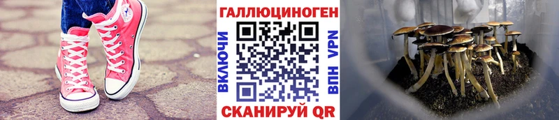 Галлюциногенные грибы мухоморы  дарк нет клад  Вязьма 